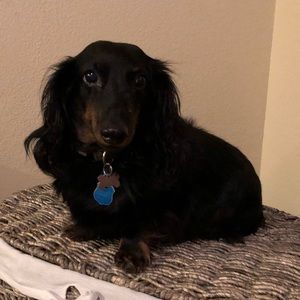 Meet your Posher, Adrien